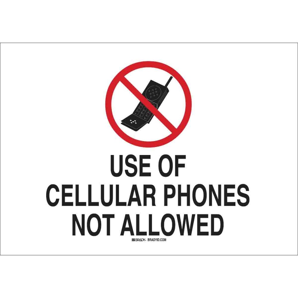 BRA-95502_1 - b91d14c8-4f0e-4c59-abb7-eef27b656788.jpg